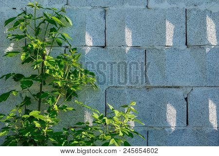 Background, A Wall Of Big Grey Brick Blocks With A Triangular Ornament, Shadows From The Sun And A P