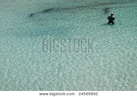 Sous l'eau