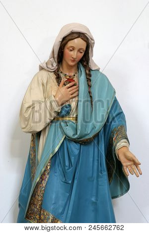 SISAK, CROATIA - DECEMBER 07: Immaculate Heart of Mary, statue in the Church of Holy Cross in Sisak, Croatia, on December 07, 2017.