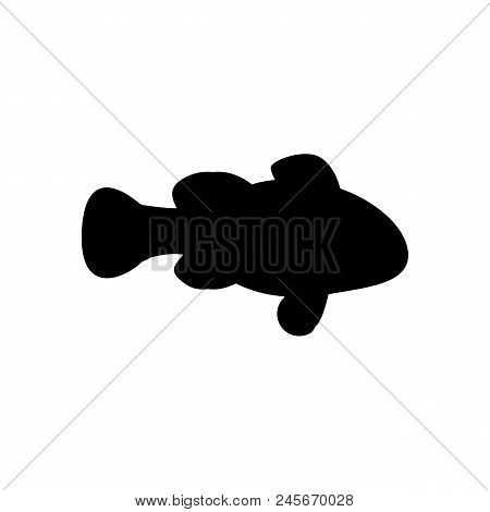 Amphiprion Clown Fish Silhouette On The White Background. Vector Illustration