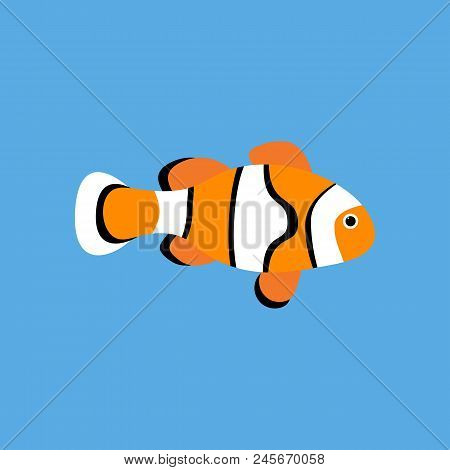 Amphiprion Clown Fish On The Blue Background. Vector Illustration
