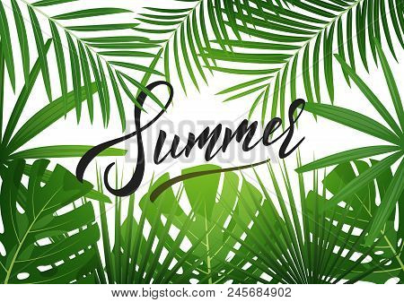 Summer. Tropical Background With Exotic Palnts. Banner For Summer Sale, Promotion, Party Events.