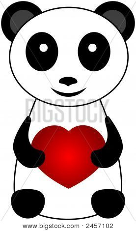 Panda Bear