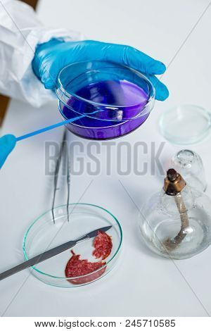 Quality Control Expert Inspecting At Meat Products  In The Laboratory