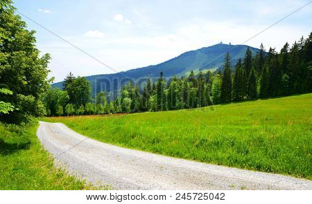 Hiking trail in spring landscape.Mount Grosser Arber in National park Bavarian forest, Germany.