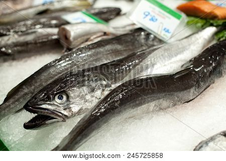 The Counter On The Market, Seafood On Ice. The Boqueria Market In Barcelona, Spain. Close Up