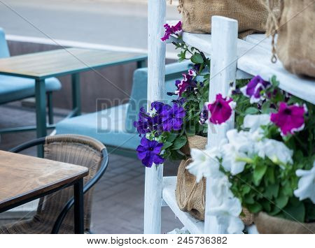 Street Cafe Interior Decorated With Colourful Flowers, Soft Selective Focus, Blurred Background. Clo