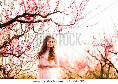 A Girl Is Walking Among The Blooming Peaches