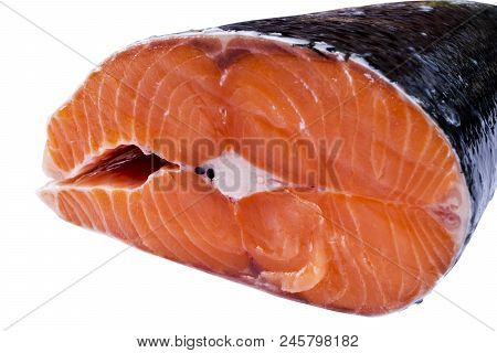 Fresh Salmon Steak Isolated On The White Background. Salmon Red Fish Steak. Large Pile Of Trout Stea