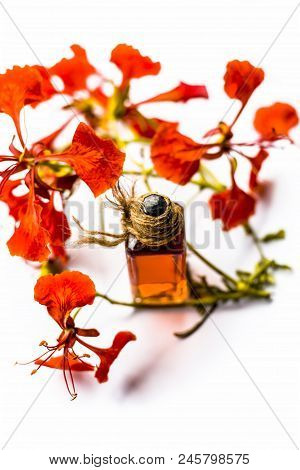 Flame Tree Or Gulmohor Or Goolmohor Tree Flower's Essence In A Transparent Bottle Isolated On White.