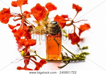 Flame Tree Or Gulmohor Or Goolmohor Tree Flower's Essence In A Transparent Bottle Isolated On White.