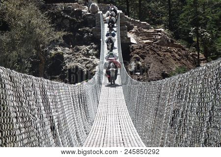 Group Of Yaks Over A Suspension Bridge In Tengboche, Everest Base Camp Trek, Nepal