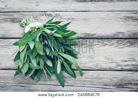 Salvia Officinalis. Sage Leaves On Old Wooden Table. Garden Sage. Handmade Lace. Retro Magazine Pict