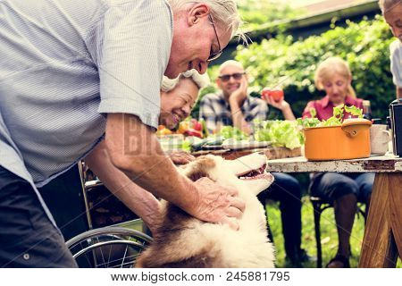Senior man playing with siberian huskey