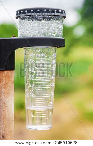 Meteorology With Rain Gauge In Garden