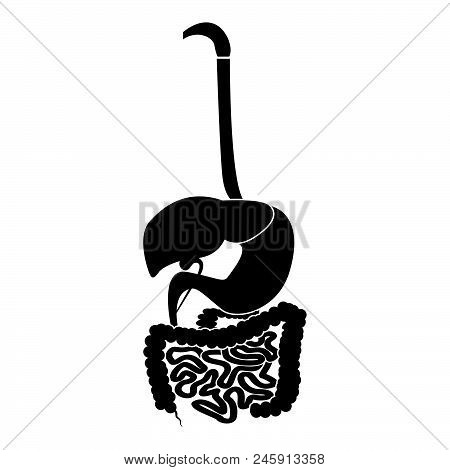 Digestive System Icon Black Color Vector Illustration Flat Style Simple Image