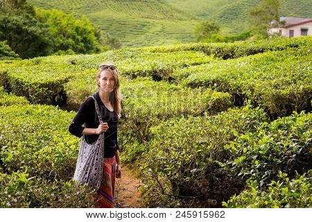 Landscape With Young Tourist On Bharat Tea Plantation In Cameron Highlands Mountains In National Par
