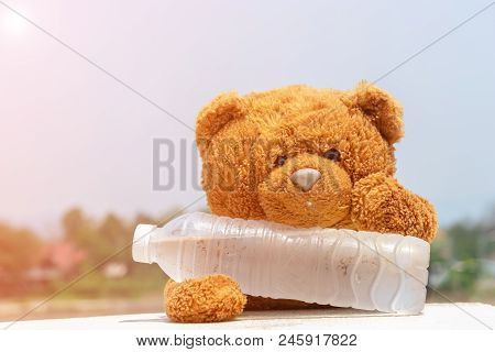 Teddy Bear Took His Chin On A Bottle Of Cold Water. Idea About Hot Weather.