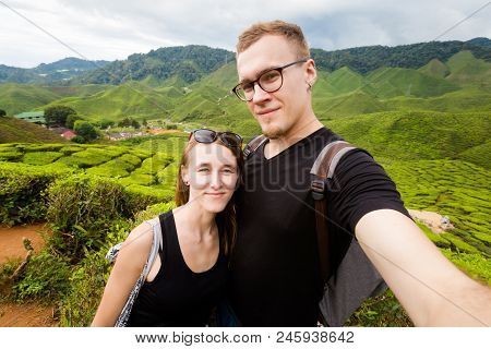 Cameron Highlands Bharat Tea Plantation