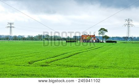 Agriculture On Land Reclaimed From The See In Netherlands. Tidal Marsh And Meadows Formed By Dams In