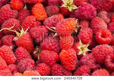 Fresh Raspberries Background Closeup Photo. Natural Food Background
