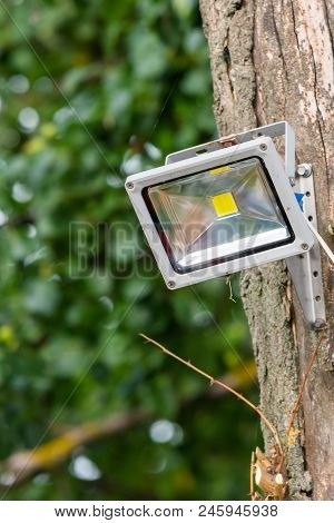 Gray Diod Spotlight On Tree. Lighting Equipment.