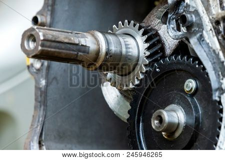 Gears Impaled On The Shaft Spline. Part Of Gearbox