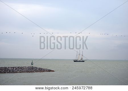 Merker Wadden, 17.06.2018: Netherlands,  Image Of The Beautiful Sailing Boat Cruising Near Coast Lin