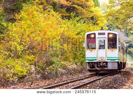 Autumn fall foliage with white train commuter in Fukushima Japan