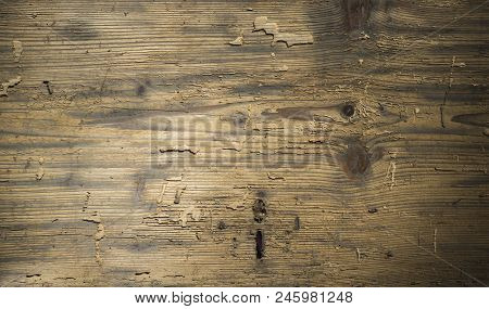 Invoice Of Old Tree From Boards Board, Dark