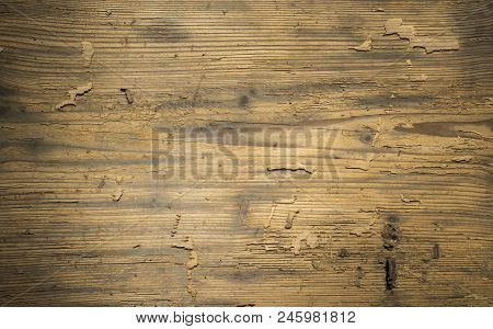 Invoice Of Old Tree From Boards Board, Dark
