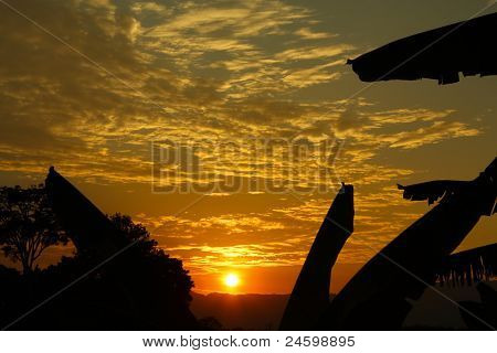 Pôr do sol nos trópicos