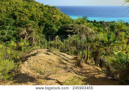The Trail For The Highest Peak On Cuba Pico Turquino Being In A Mountain Range Sierra Maestra On Cub