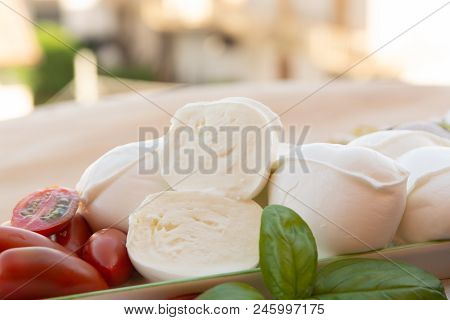 Fresh Soft Italian White Cheese Mozzarella Buffalo, Original From Campania, Paestrum And Foggia Regi