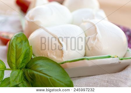 Fresh Soft Italian White Cheese Mozzarella Buffalo, Original From Campania, Paestrum And Foggia Regi