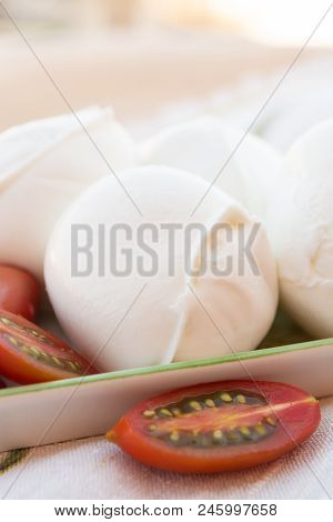 Fresh Soft Italian White Cheese Mozzarella Buffalo, Original From Campania, Paestrum And Foggia Regi