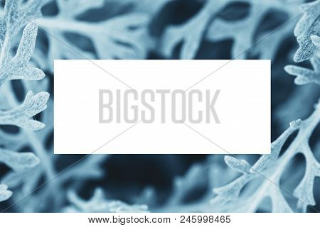 Layout Made Of Blue Leaves With White Paper Card Note. Flat Lay. Copy Space For Text.
