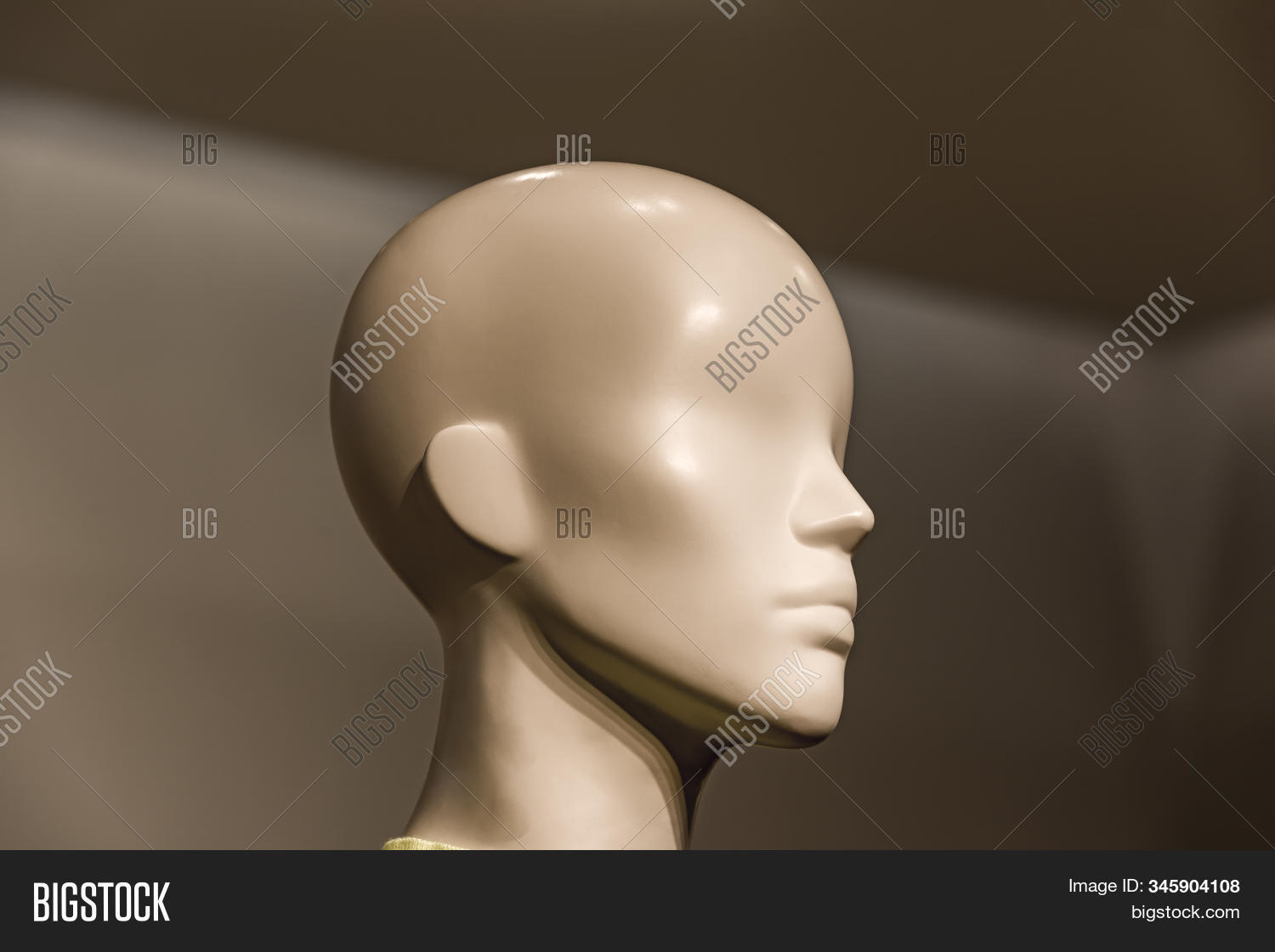 Head White Mannequin Image & Photo (Free Trial) | Bigstock