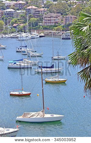 Cremorne Point To Mosman Bay Coastal Walk, Sydney, Australia