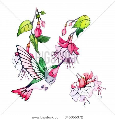 Floral Watercolor Decorative Elements. Spring, Summer Illustration, Pink Flower, Green Leaves, Branc