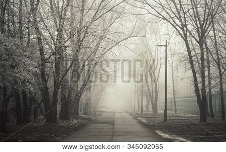 Scary Landscape With Fog In An Industrial Area. Old Concrete Road Lead Through Mystical Woods. Cold 