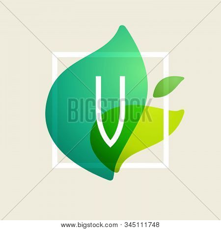 V Letter Logo In Square Frame At Green Leaves Watercolor Background. Vector Ecology Typeface For Bot