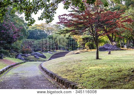 Beautiful Autumn Landscape In The Park Of The Japanese City Of Beppu. Fallen Leaves On The Grass.