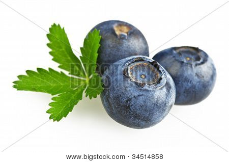 bluebarry