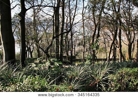 Oporto, Portugal- January 6, 2020: Beautiful And Idyllic Crystal Palace Gardens In Oporto, Portugal