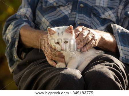 Senior Man Holding Cat In Lap