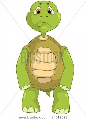 Funny Turtle