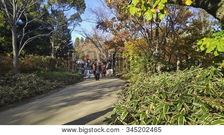 Himeji, Japan- 30 Nov, 2019: Koko-en Garden At Himeji Of Japan. Koko-en Is A Japanese Garden Located