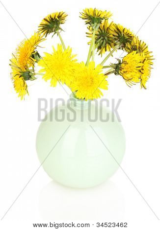 Löwenzahn Blumen in der Vase isoliert auf weiss