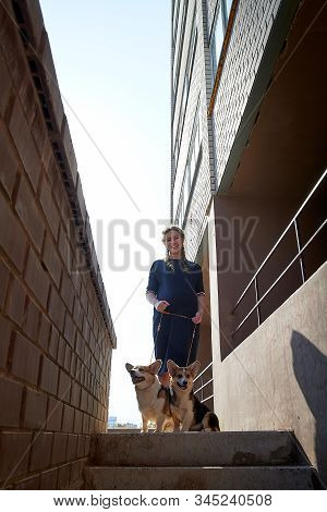 Pretty Funny Girl With Small Nice Dog Big Wall Of City House In A Sunny Day